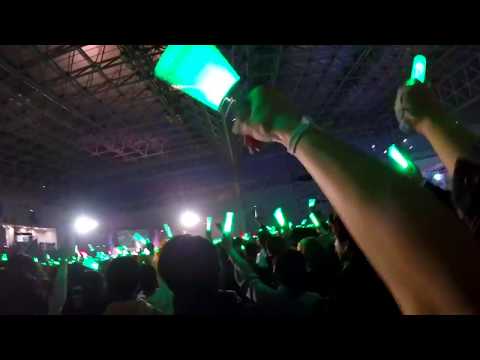【ボカニコ2019】ピノキオピー 『内臓ありますか』