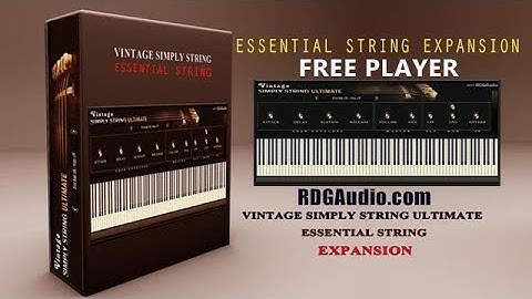 Vintage Simply String Ultimate Essential String Expansion RDGAudio Demo