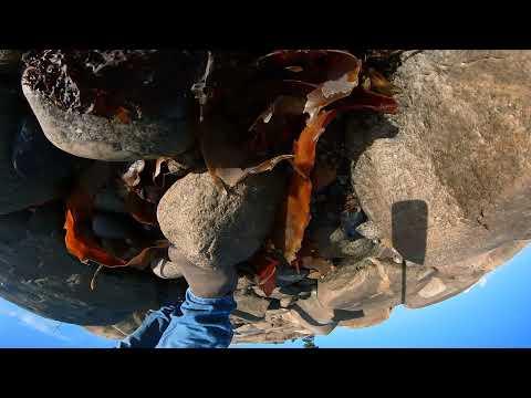 Musgrave Harbour, Rocky Beach Walk in 360 degrees