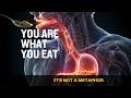 You Are What You Eat — It's Not a Metaphor