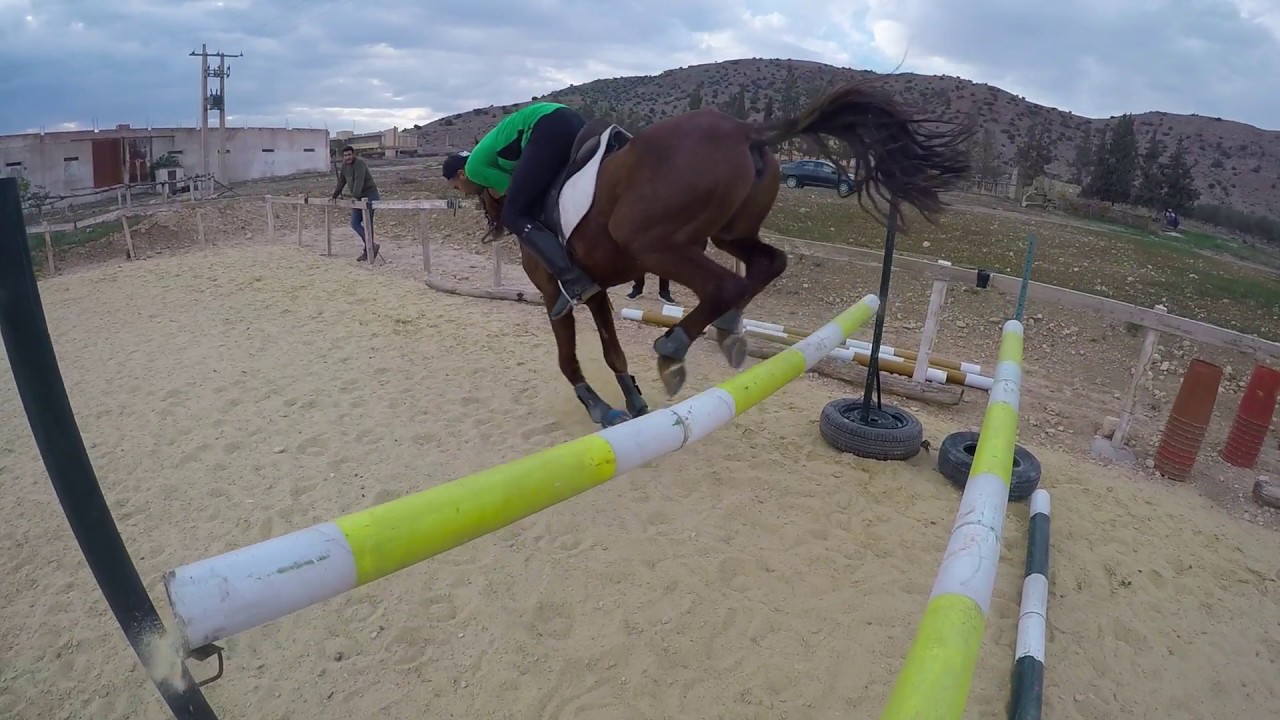 نادي الرماية و الفروسية باتنة