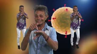 Z-Maguinho Do Piauí - Tô Fora Do 19 Clipe Oficial