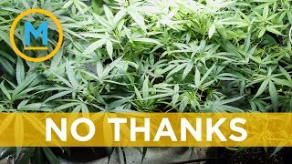 Canadian Cannabis Producer Aphria Rejects Takeover From American Company Your Morning