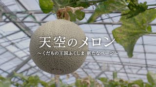 天空のメロン【福島市ふるさと納税】