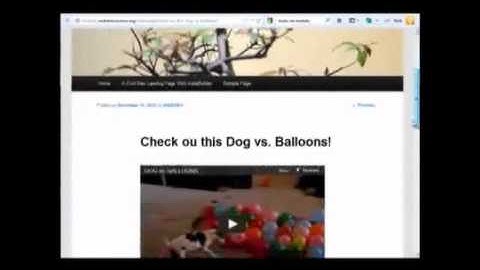 Viral Video Curator Pro  Walkthrough. Check out it out Now !!!