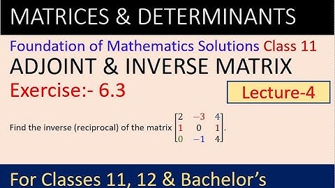 Adjoint & Inverse solutions class 11 | Foundations of mathematics class 11 solutions | Matrices 11