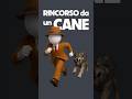 COSA FARE se un CANE RABBIOSO INIZIA a RINCORRERTI!😳😱