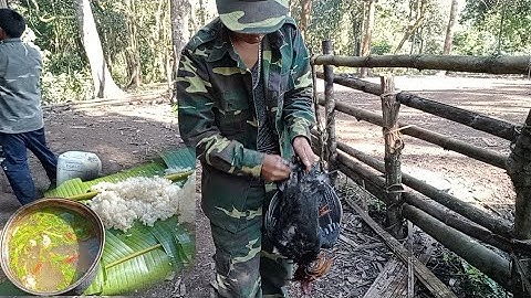 yos hav zoov 2023: mus cuab qaib qus tuaj zoo heev 22/1/2023