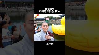 러버덕을 연못에 띄운 절이 있다?!
