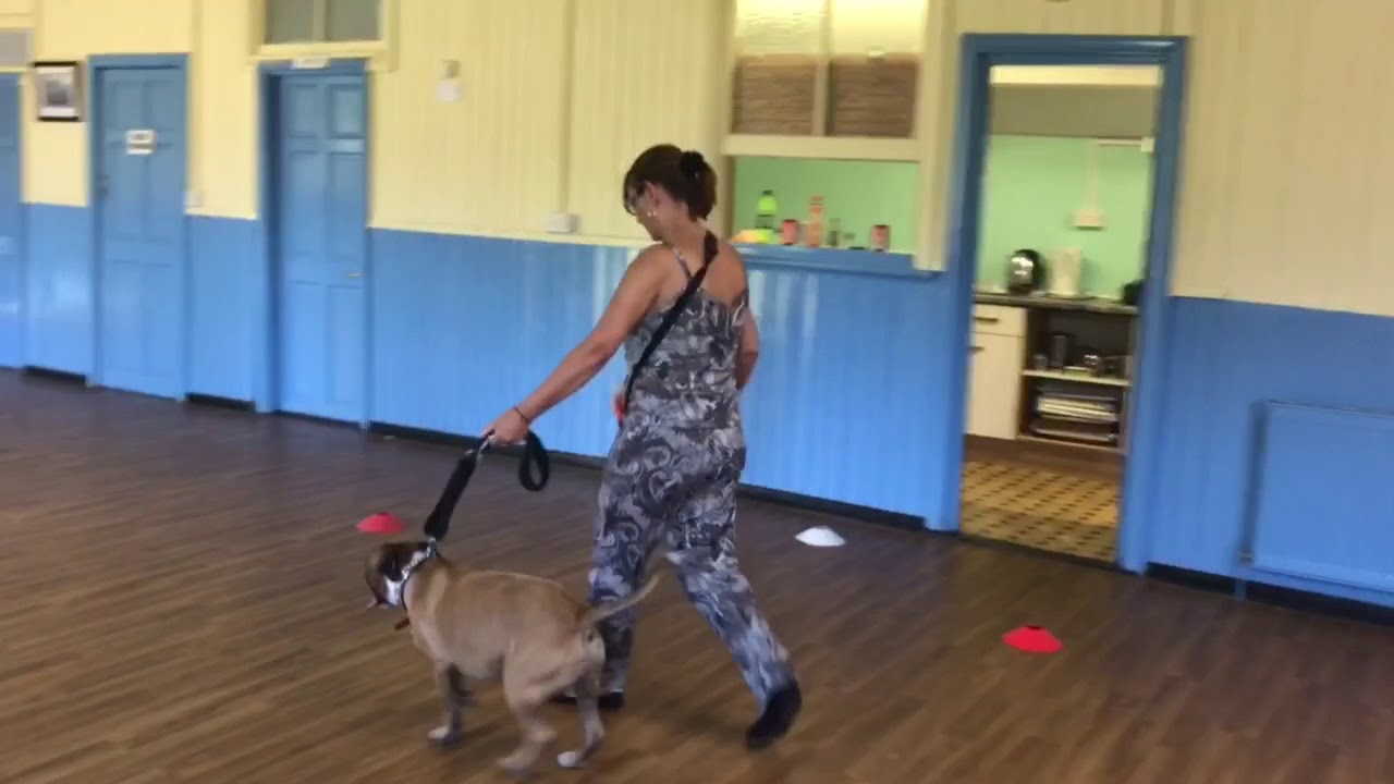 HOW TO VIDEO: beginning out of sight essex county nj