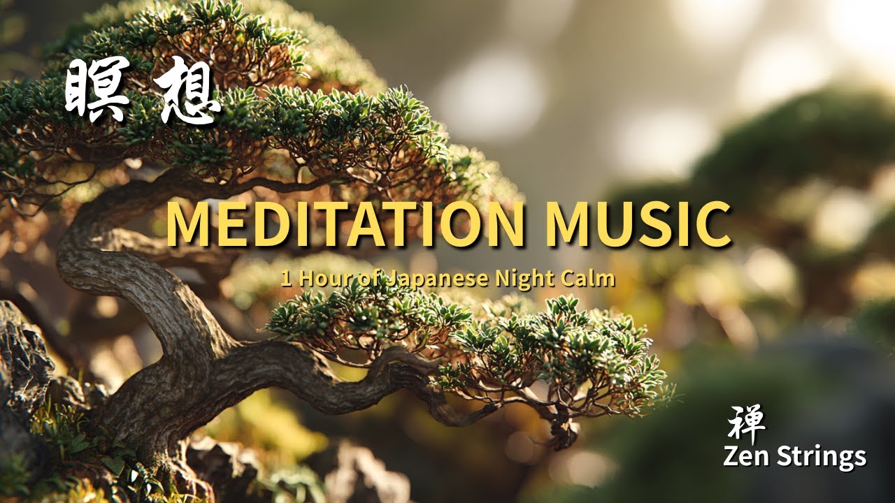 1 Hour of Japanese Night Zen Strings – Shakuhachi & Koto Meditation ...
