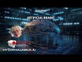 RCADT - Course: Artificial Brains