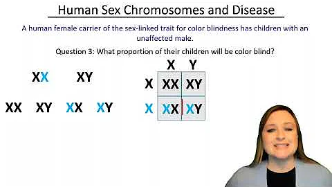 X and Y: the Genetics of Sex-linked Genes (with practice questions!)