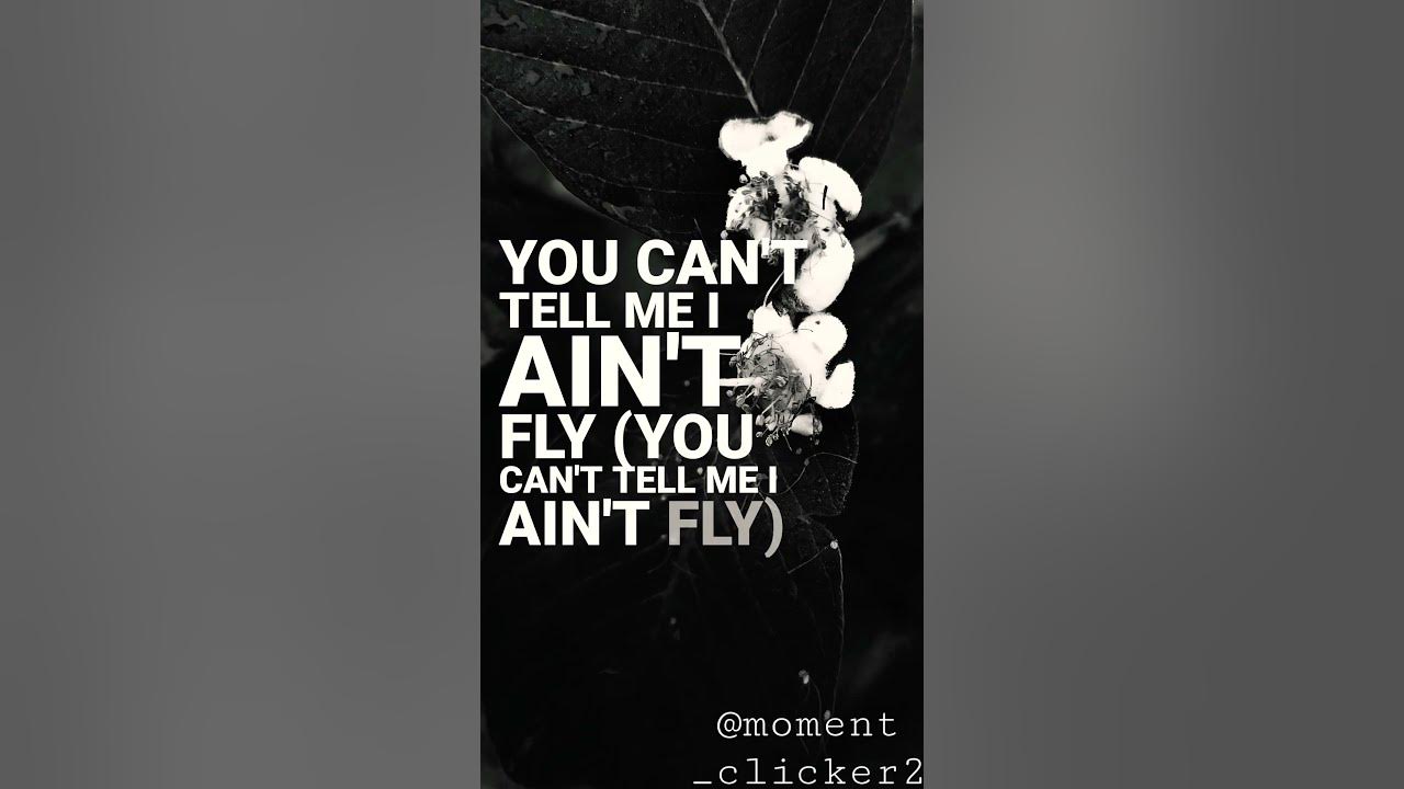 I Drink Till I M Drunk Smoke Till Im High I can fly status//drink till I drunk smoke till I High song status//for