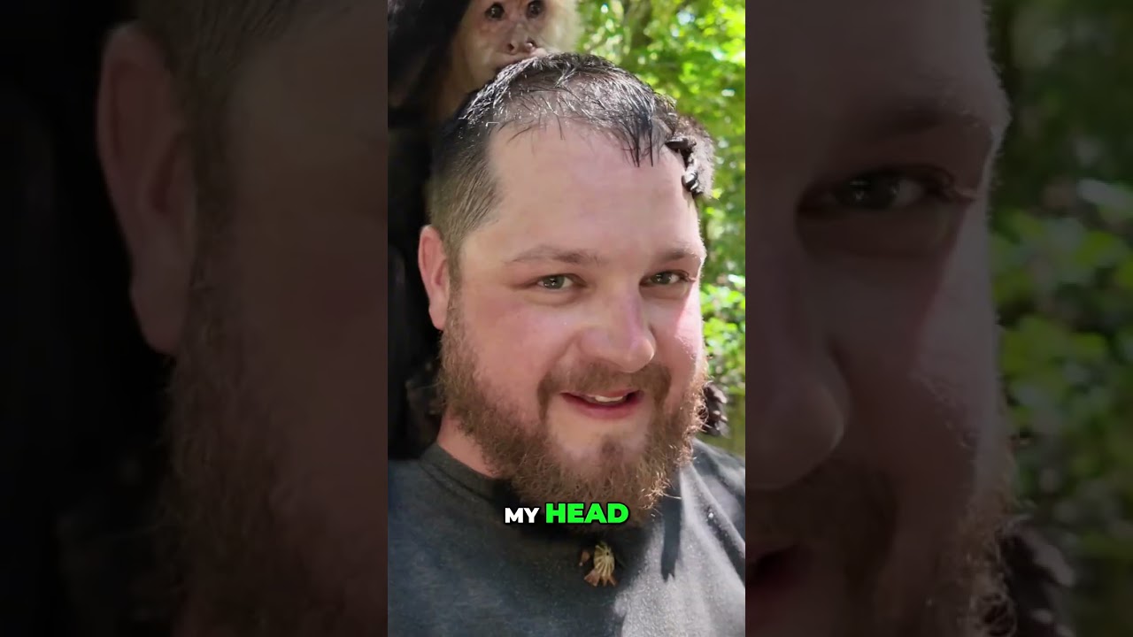 A Wild Primate Encounter!