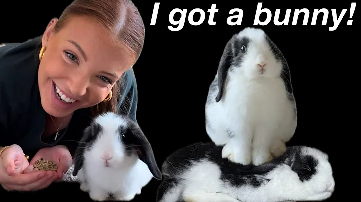 I got a pet bunny! set up & pick up my holland lop rabbit & bunny supplies haul! 48 hour bunny vlog
