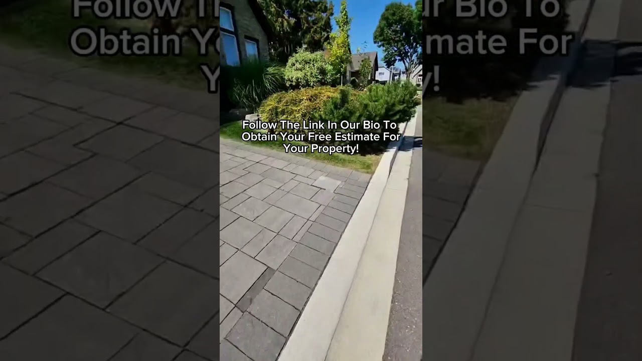 Creating Beautiful Outdoor Spaces in the GTA! 🤩🍃🏡 🇨🇦 