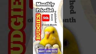 BUDGIES Pricelist MAY 2023 | Budgerigars Monthly Prices | Monthly Prices Budgies ‎@NadiaPetsCross 