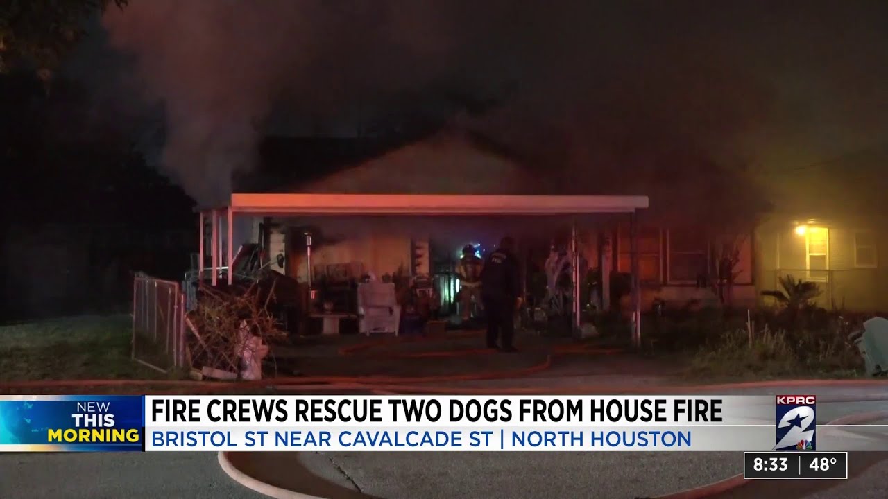 2 dogs saved from house fire in north Houston - YouTube