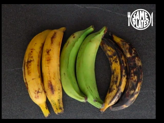 La guidoline: comment la choisir? – La Banane 🍌