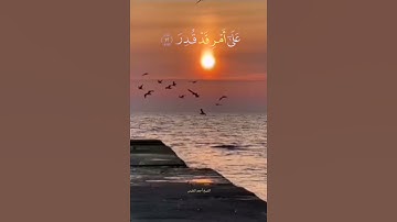 #تلاوة_خاشعة #الشيخ #أحمد_النفيس #قرآن #قرآن_كريم_راحة_نفسية #اكسبلور #دويتو#لايك #tiktok