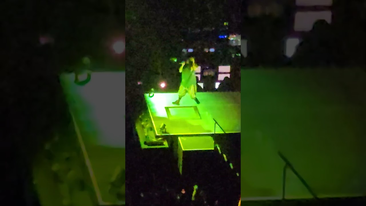 billie Eilish apparition dans la petite scène