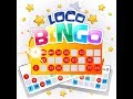 Loco Bingo Spot 27 ES - Playspace