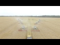 Harvesting of grain RBPI Group 2