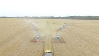 Harvesting of grain RBPI Group 2