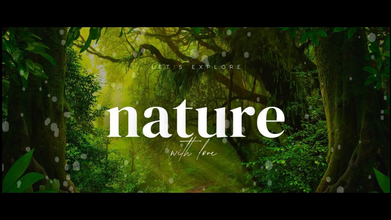 The sound of calm : 60 minutes of rainy night  piano for deep sleep.