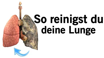 Was ist gut für die Lunge zum Inhalieren?