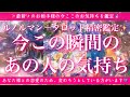 【恋愛💖】今この瞬間のあの人のあなた様へのお気持ち🔮🦋ルノルマンカードとタロットカードの併せ読みでズバリ鑑定します✨