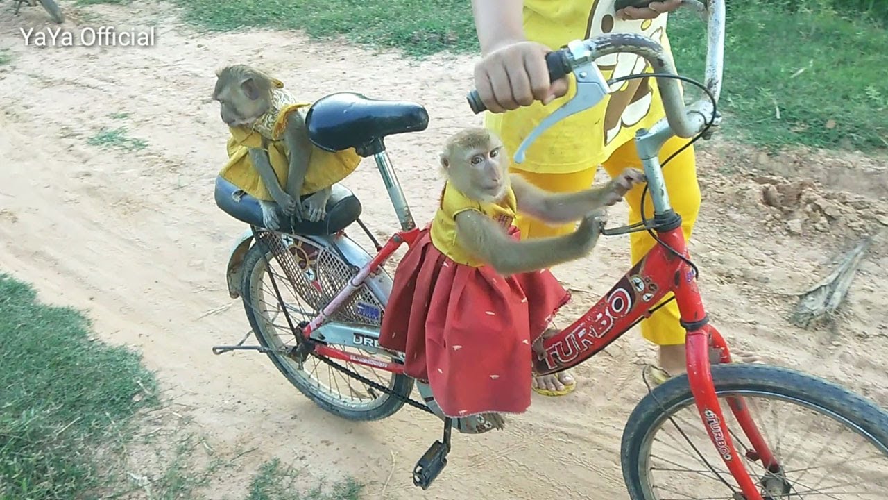 Leading YaYa& Shally Taking A Bath YouTube