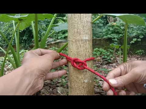The EASIEST Way to tie Bowline - The KING of Knots!
