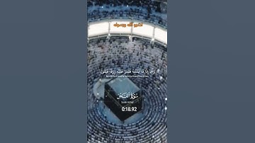 #ماهر_المعيقلي #القرآن_الكريم #quran #لايك #اكسبلور #دويتو #سورة_الفجر #تلاوة_خاشعة #خشوع