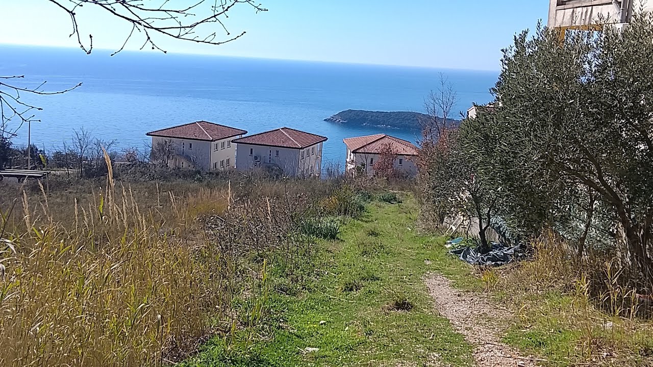 Aigul Moon в прямом эфире!