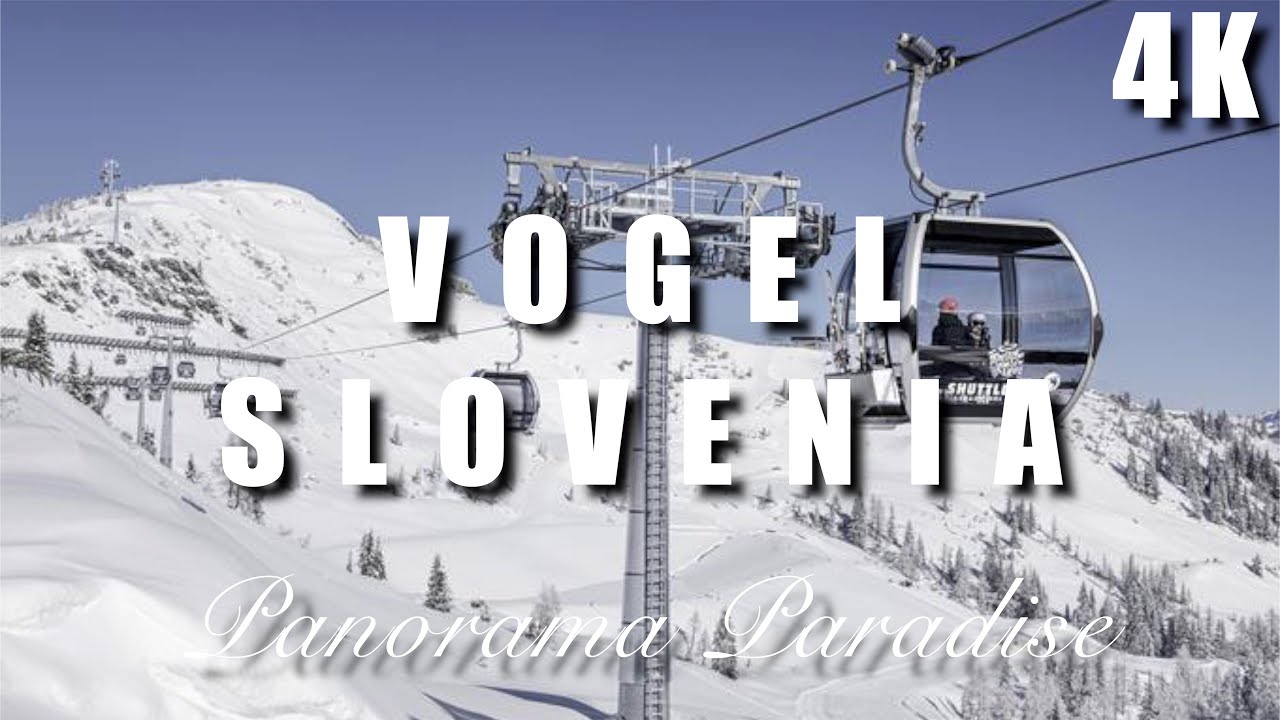 Vogel, Slovenia 4K #pokljuka #triglavskipark #slovenia #alps