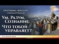 Ум, Разум, Сознание. Что тобой управляет? Елена Ромская и Алексей Орлов