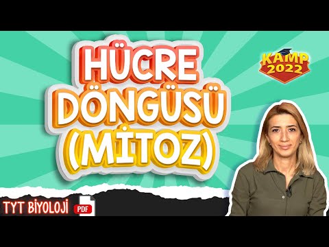 Hücre Döngüsü (Mitoz) | TYT Biyoloji #Kamp2022 #tyt2022BİO10