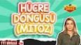 Hücre Mitoz ve Mayoz Bölünme ile ilgili video