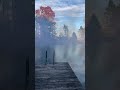 Fall is the time to clean up the pond 秋天是清理池塘的季節