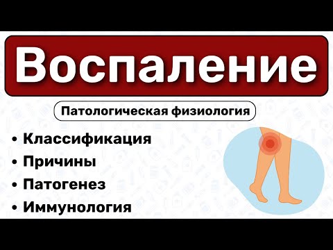 Воспаление: виды, патогенез / Патологическая физиология