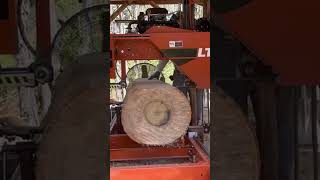 Sawing 1st edging slab from a nice poplar 4/15/23
