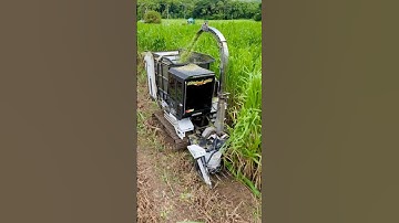 Máy Cắt Băm Cỏ Tự Động