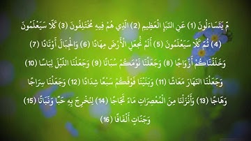 سورة النبأ ابو بكر الشاطري HD