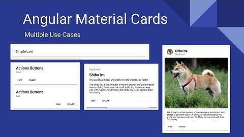 Angular Material Cards Tutorial