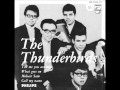 The Thunderbirds -  My Lonely Heart ( rare version with Orchestra )