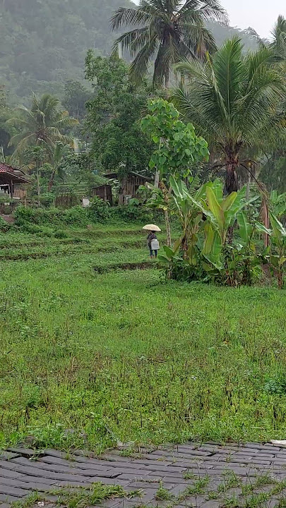 Bikin Sedih ! Pejuang Rupiah Di Pedesaan