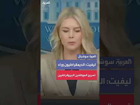 ليفيت الديمقراطيون وراء تسريح الموظفين البيروقراطيين