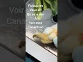CANARDS VÉXÉS Jobul456 Videodrole Humour Drole Mdr Marrant Rigolo Funny Animals CANARDS VÉXÉS Jobul456 Videodrole Humour Drole Mdr Marrant Rigolo Funny Animals